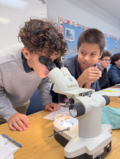 Students looking through a microscope